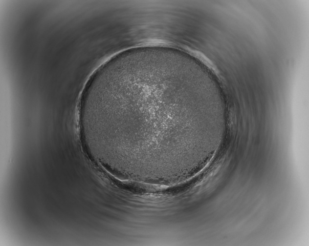 X0000093621364200710151252