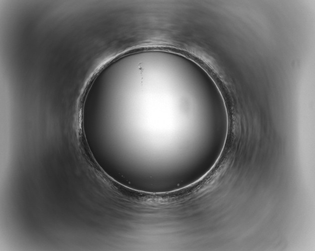 X0000093621366200710151252