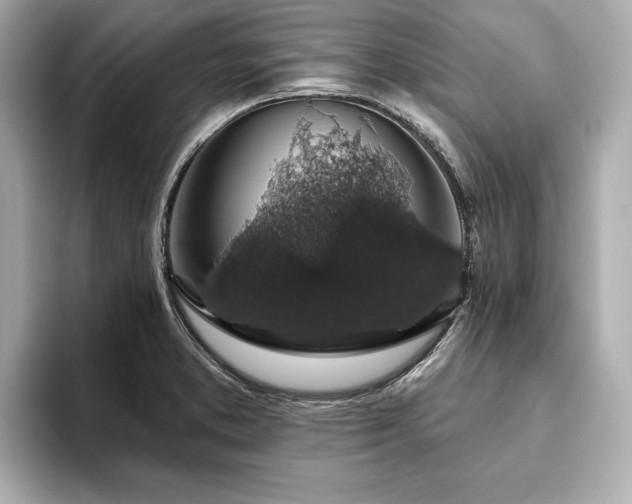 X0000093621373200710151252
