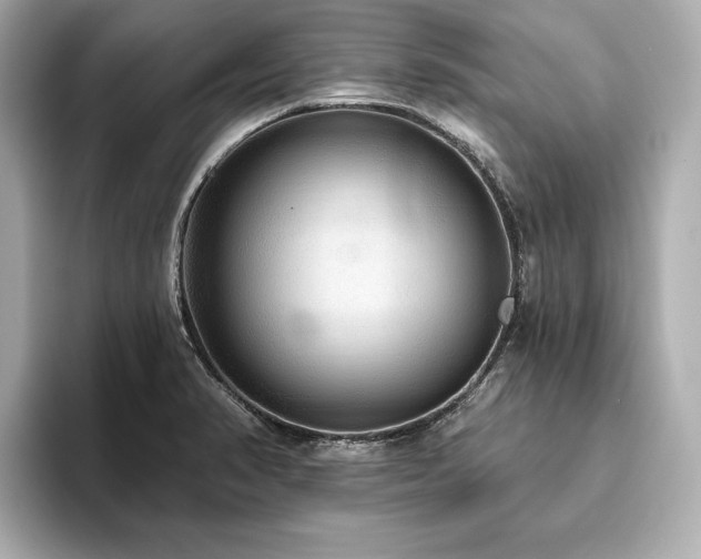 X0000093621374200710151252