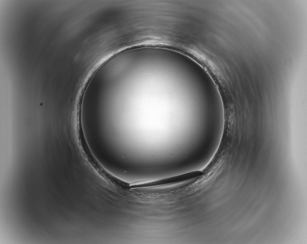 X0000093621375200710151252