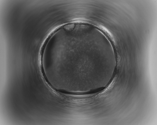 X0000093621376200710151252