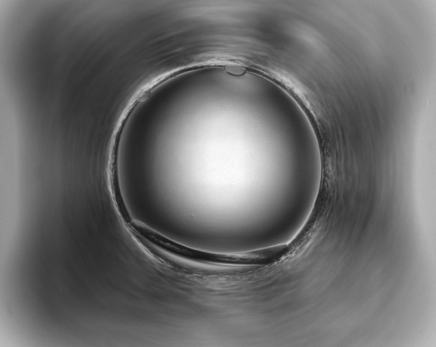 X0000093621379200710151252