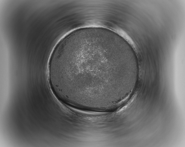X0000093621380200710151252
