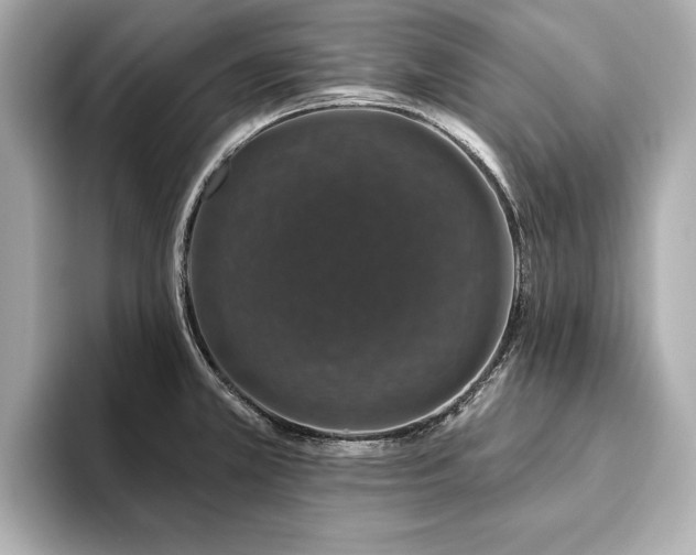 X0000093621381200710151252