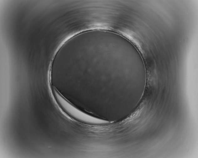 X0000093621383200710151252