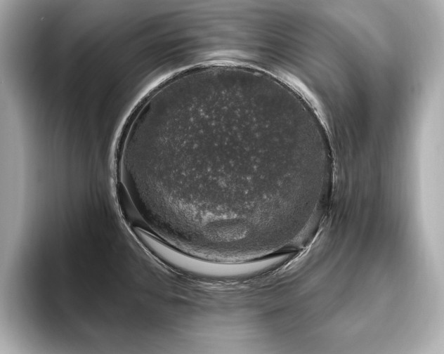 X0000093621384200710151252