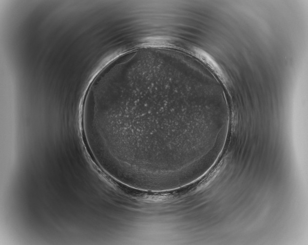 X0000093621386200710151252