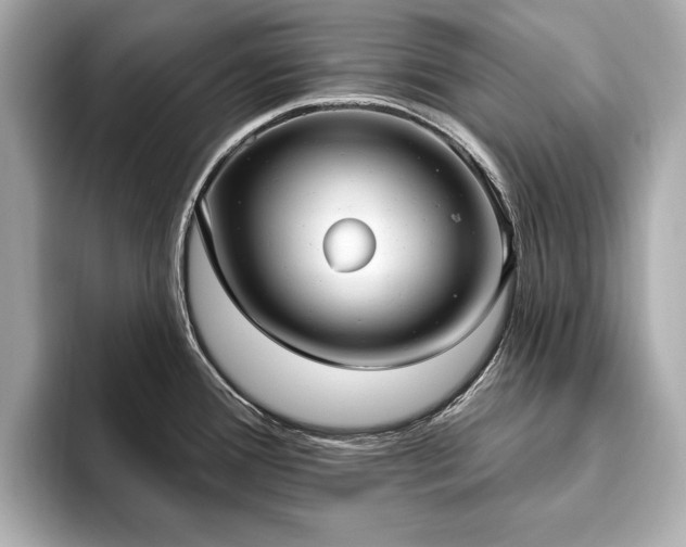 X0000093621388200710151252