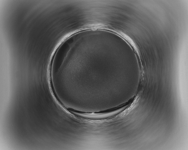 X0000093621389200710151252