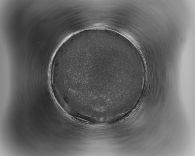 X0000093621392200710151252