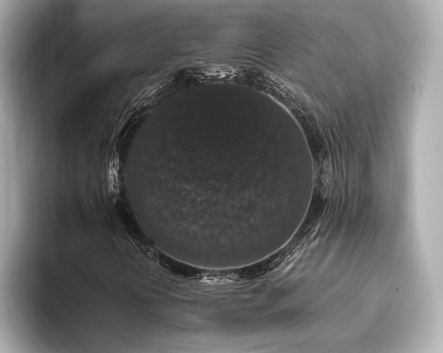 X0000093621394200710151252