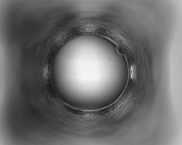 X0000093621395200710151252