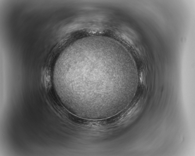 X0000093621396200710151252