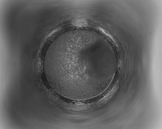 X0000093621398200710151252