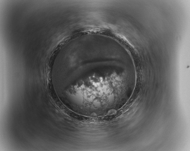 X0000093621399200710151252