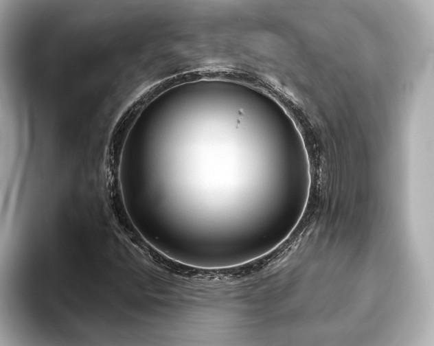 X0000093621400200710151252