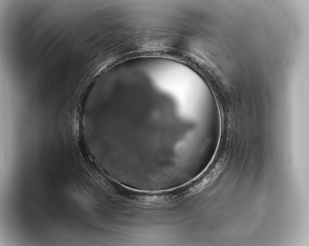 X0000093621401200710151252