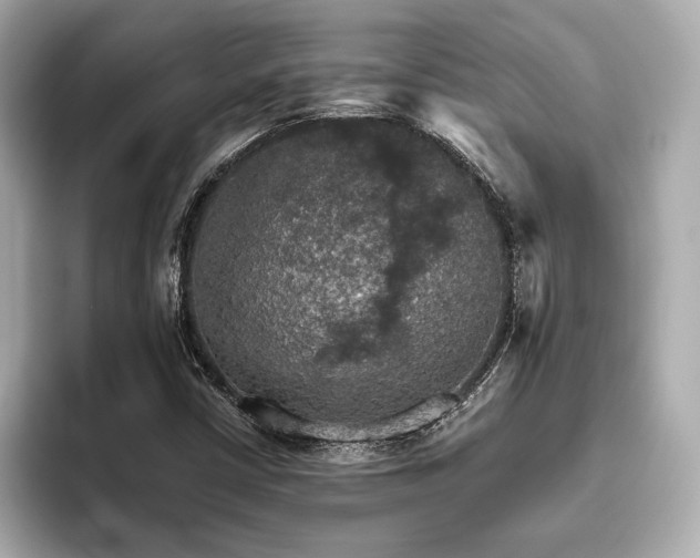 X0000093621402200710151252