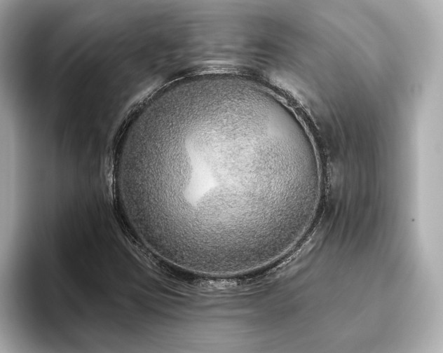 X0000093621403200710151252