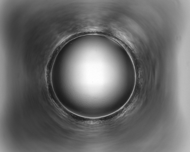 X0000093621404200710151252
