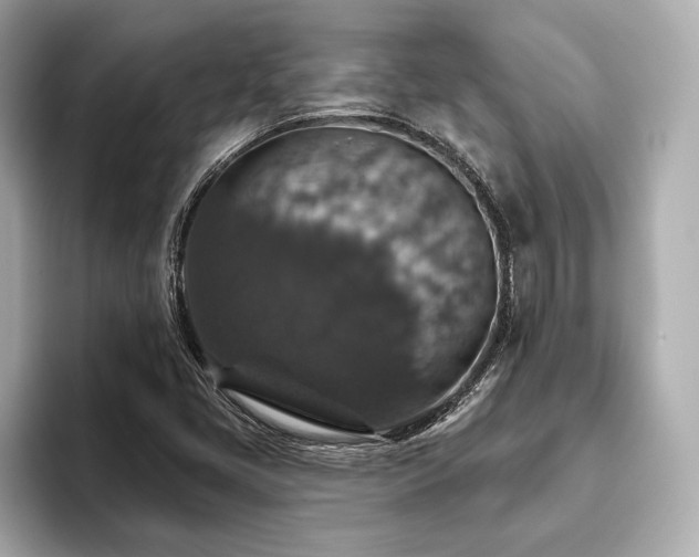 X0000093621405200710151252