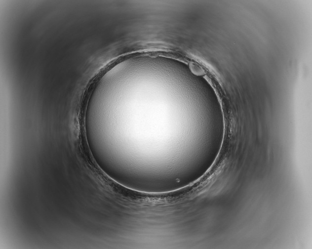 X0000093621407200710151252