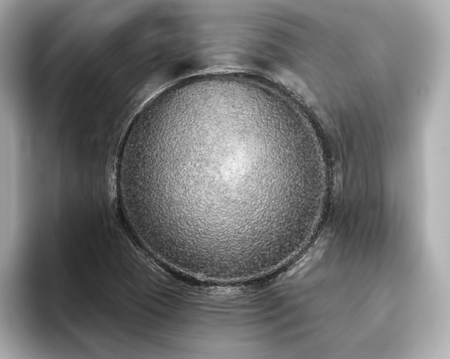 X0000093621409200710151252