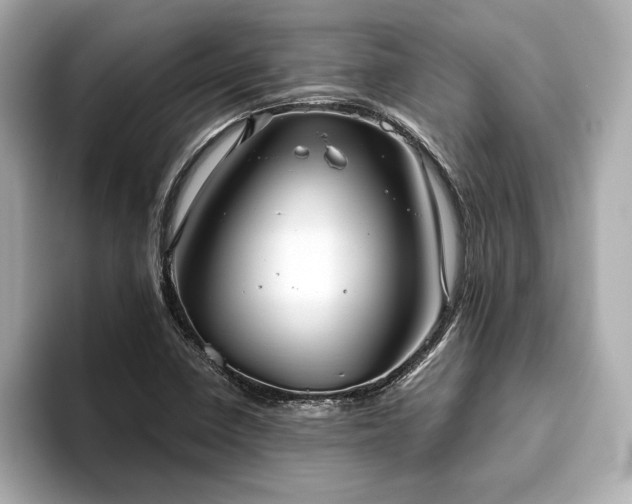 X0000093621410200710151252