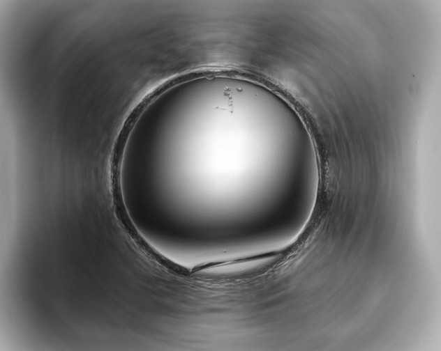 X0000093621412200710151252