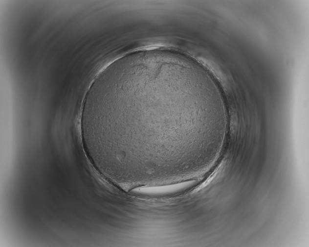 X0000093621417200710151252