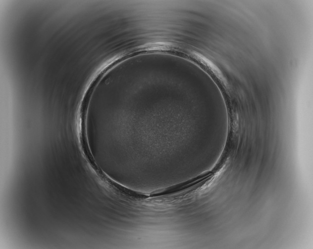 X0000093621418200710151252