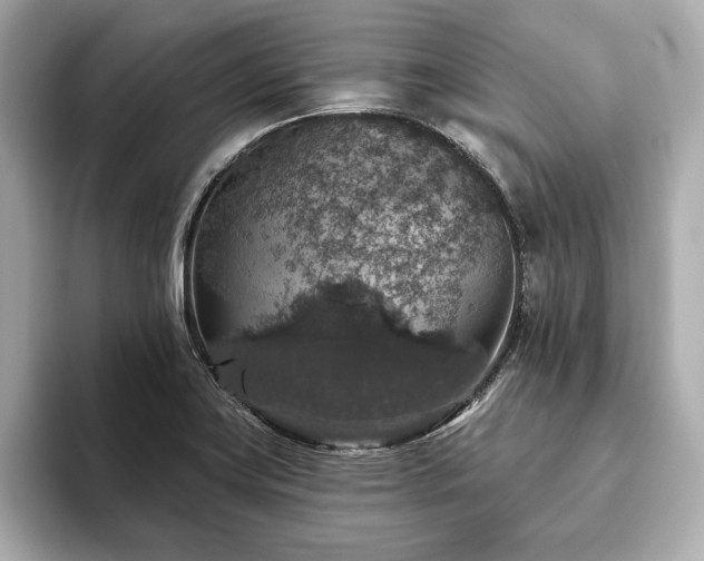 X0000093621419200710151252