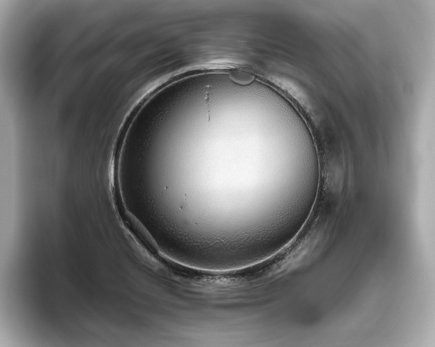 X0000093621420200710151252