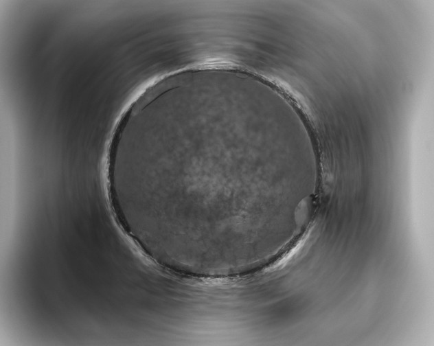 X0000093621422200710151252