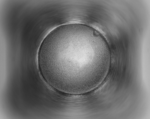X0000093621423200710151252