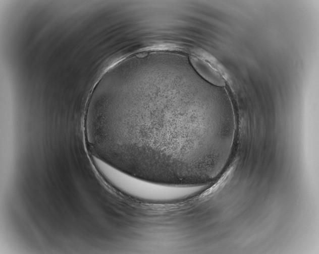 X0000093621425200710151252
