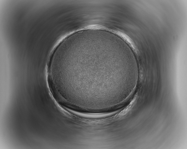 X0000093621430200710151252