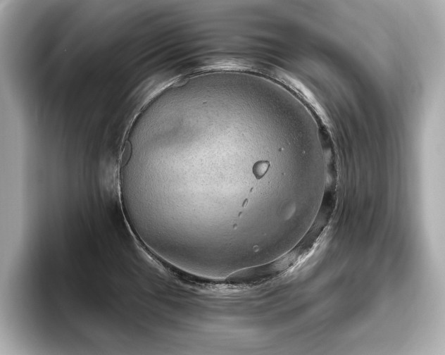 X0000093621433200710151252