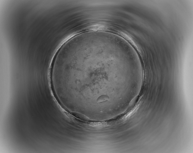 X0000093621434200710151252