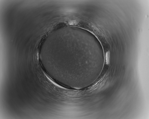 X0000093621443200710151252
