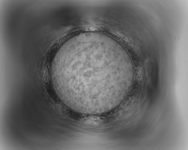 X0000093621446200710151252