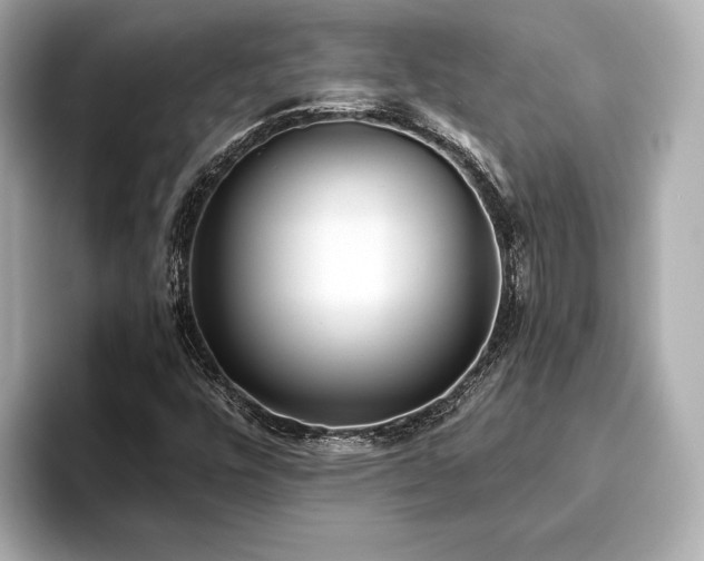 X0000093621448200710151252