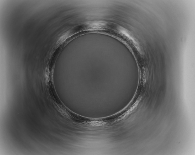 X0000093621449200710151252