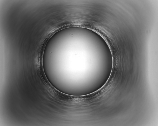 X0000093621451200710151251
