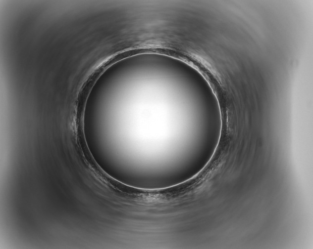 X0000093621452200710151251