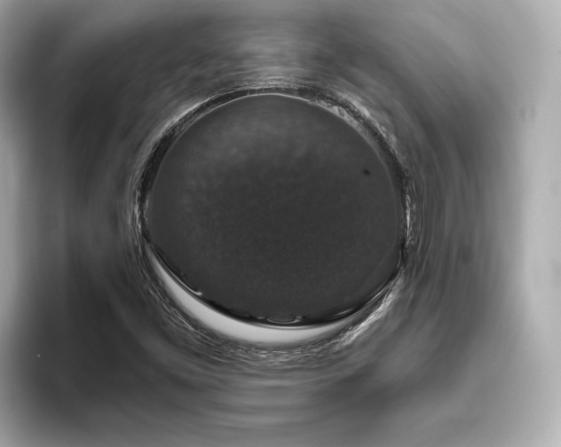 X0000093621453200710151251