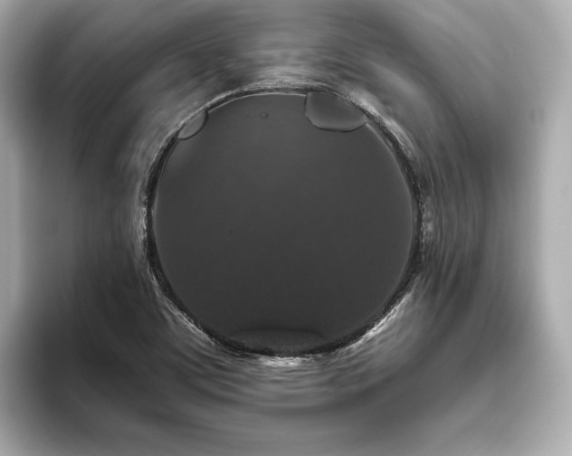 X0000093621459200710151251