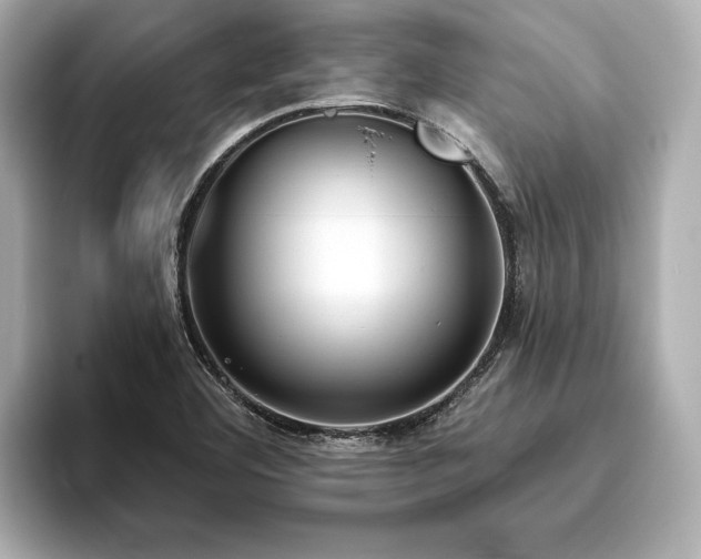 X0000093621460200710151251