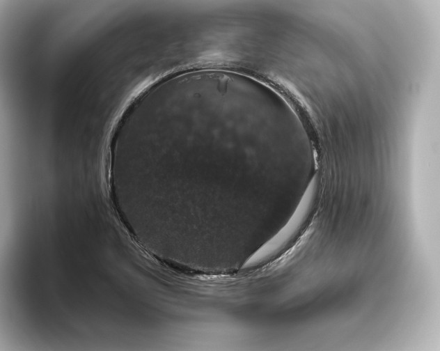 X0000093621461200710151251